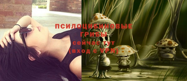 первитин Струнино