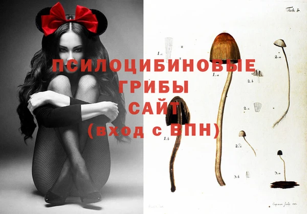 apvp Арсеньев