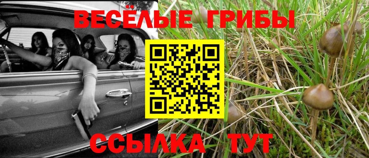 Галлюциногенные грибы Psilocybe  Вход с VPN  Белово 