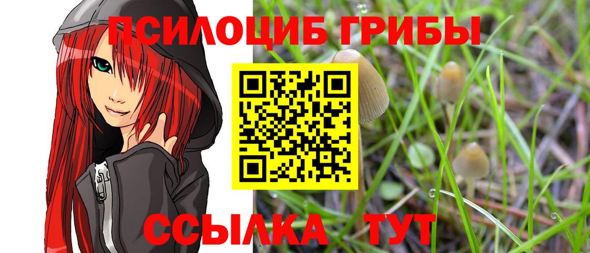 НБОМе Белово